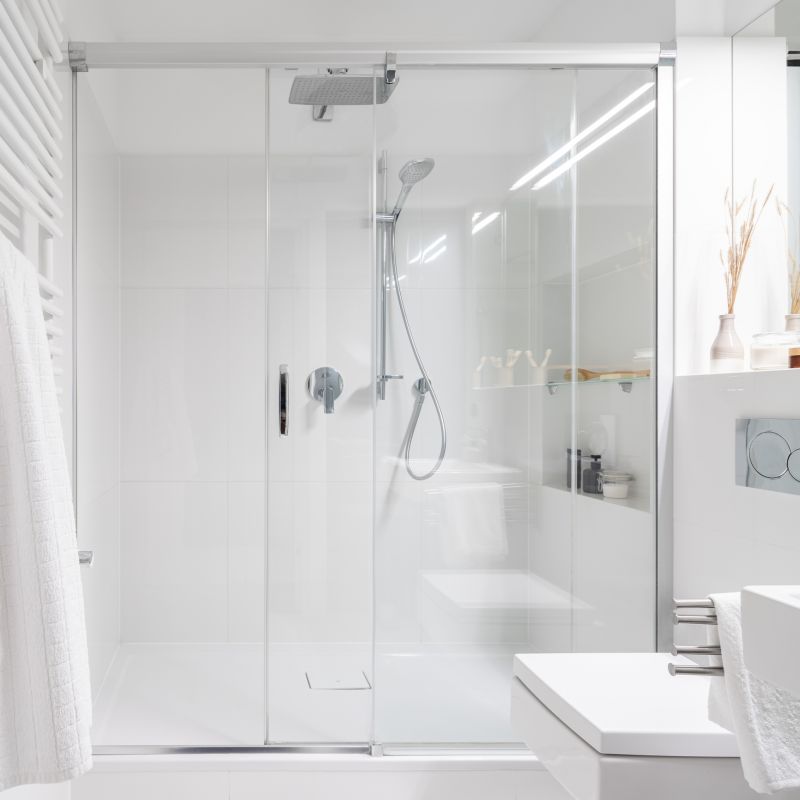 Elegant Shower with Frameless Door